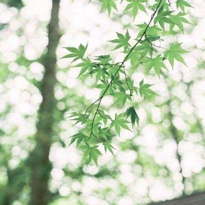 亿博手机端app下载安装