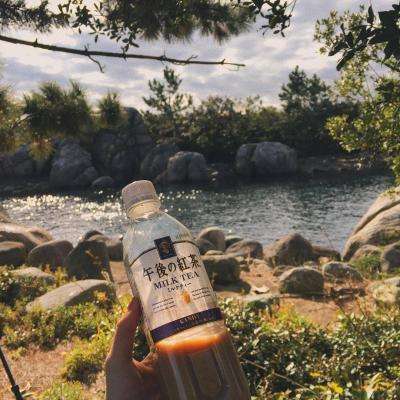 1788网投手机app下载